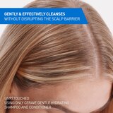 CeraVe Hydrating 2in1 Anti-Dandruff Shampoo + Conditioner, Sulfate & Paraben Free Fragrance Free, 12.0 fl oz